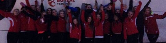 Alle gymnastene