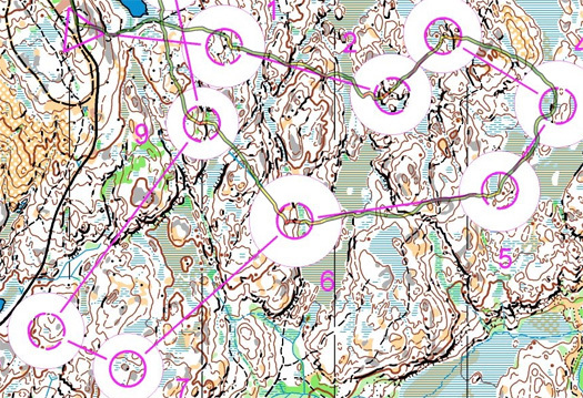 Utsnitt av økta Høiås Jump In fra Trygve Kristoffer Løvli sitt rom i Haldens digitale kartarkiv.