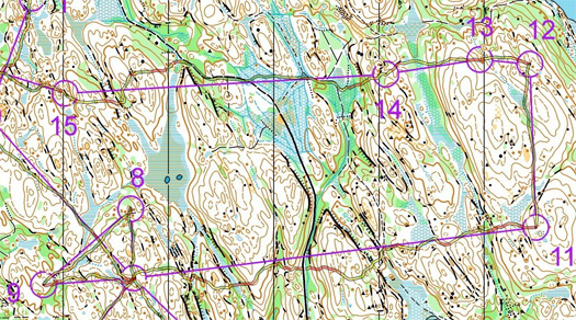 Kartutsnitt fra treningstur Anne Margrethe Hausken Nordberg har hatt i Sørmarka i mars 2014. Kilde: Nydalens Skiklub sitt digitale kartarkiv.