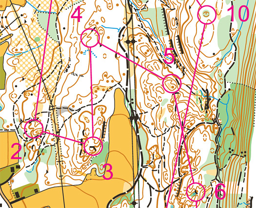 Skigardsloppet 2014 - Team Løver i samarbeid med Viul OK.