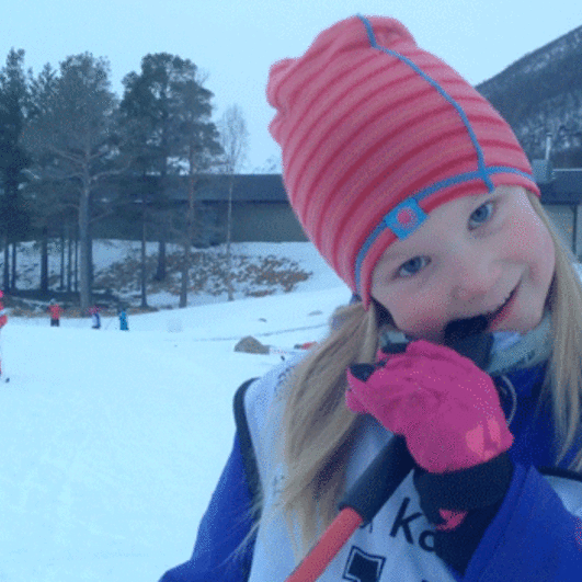 Skikarusell2014