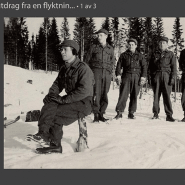 Fred-på-jorden