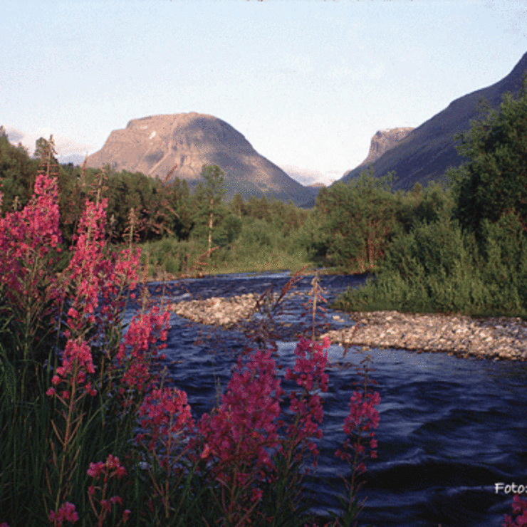 Kitdalselva,-Moskogaisa