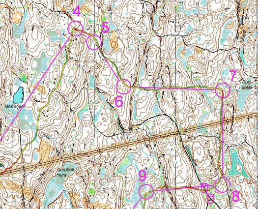 Utsnitt av Torgeir Nørbechs løp i verdenscupen på Kongsberg i pinsen 2014. Kart: Kongsberg O-lag.