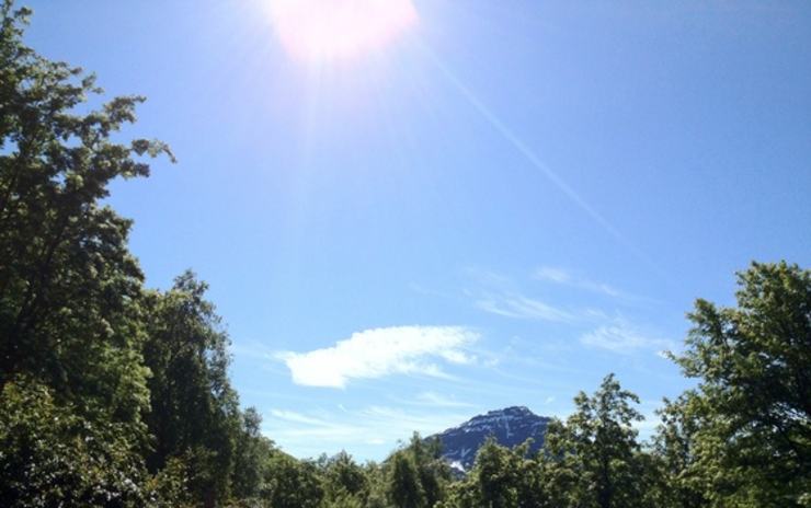 Sommer_560x351
