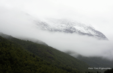 Mannfjell-snø-skodde-53