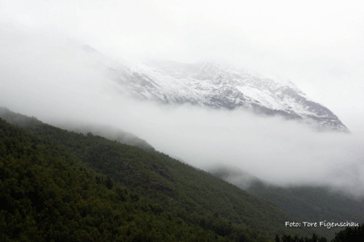 Mannfjell-snø-skodde-53