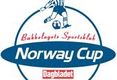 Norway cup - Liten logo