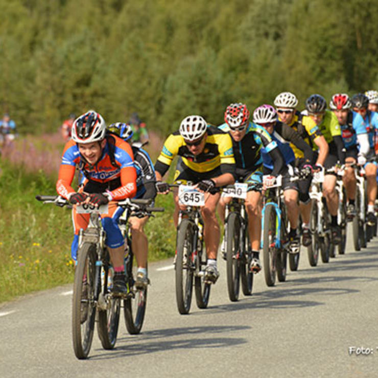 Lavka2014-4215