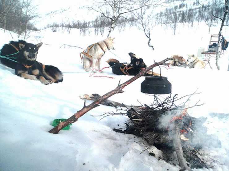 Hundepann-og-bål