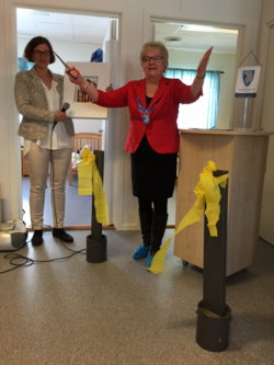 Enhetsleder og ordfører