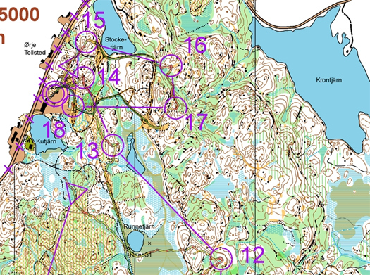 Kartutsnitt fra Smaaleneneløpets H21-løype. Veivalg fra Johan Asphjell Bjørnaas. Kart: Marker O-lag.