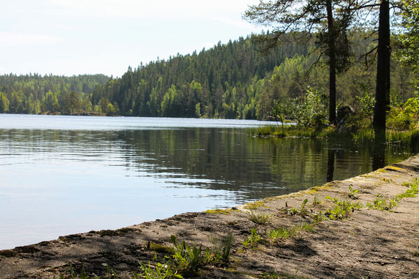 Maria Sæther Nilsen Idyll ved vann