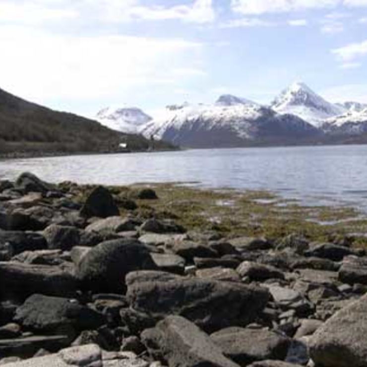 Biellogáisa sett fra Bentsjord.