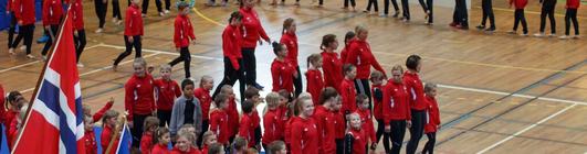 Sommeroppvisning 2015 (15)