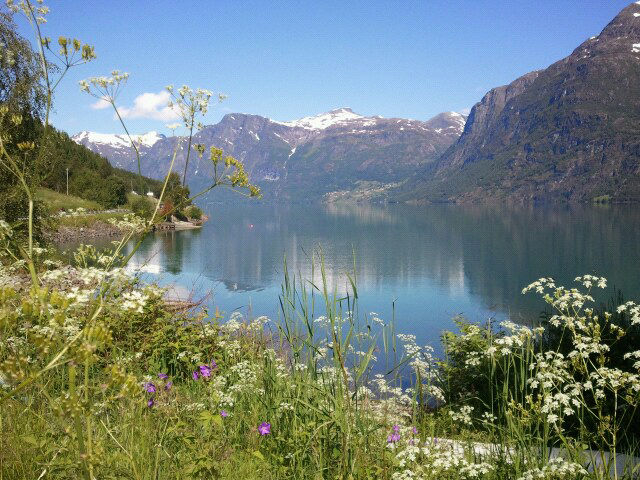 Foto som syner ein flott sommardag i Olden. Det er blå himmel, i framgrunnen ser i gras og villblomar, og i bakgrunnen - på andre sida av fjorden - ruver fjella. Foto: Sogn og Fjordane fylkeskommune Foto som syner ein flott sommardag i Olden. Det er blå himmel, i framgrunnen ser i gras og villblomar, og i bakgrunnen - på andre sida av fjorden - ruver fjella. Foto: Sogn og Fjordane fylkeskommune