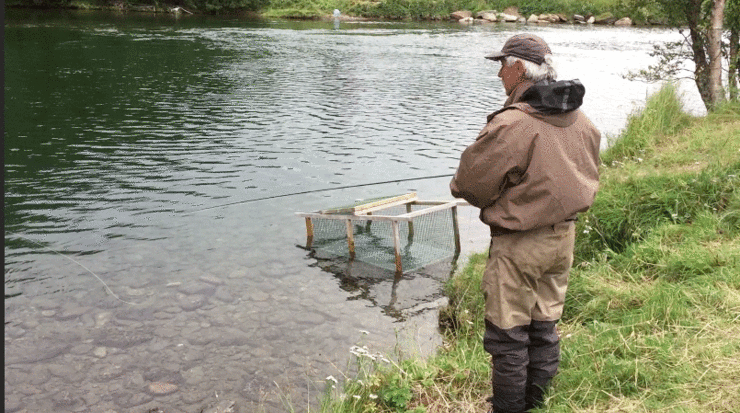 Fluefisker ved Signaldalelva.