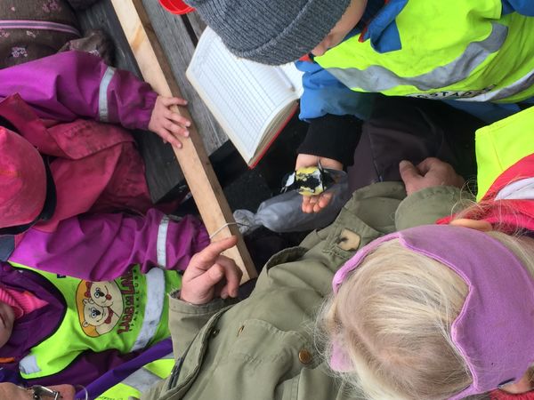 Friluftsbarnehagen finner en fugl
