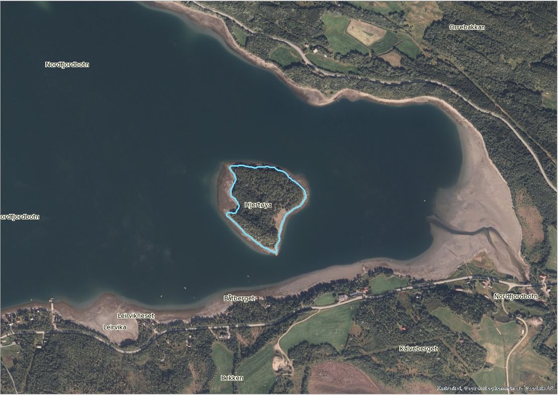 Hjertøya_flybilde