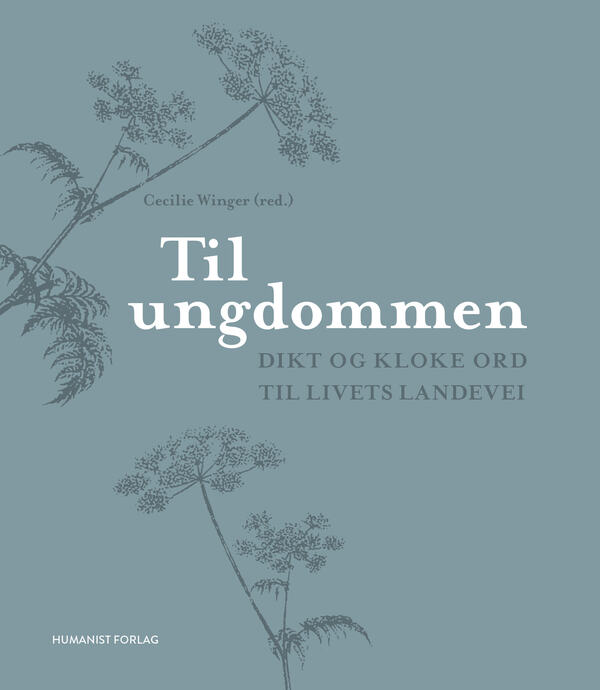 TIlUngdommenOmslagOversikt
