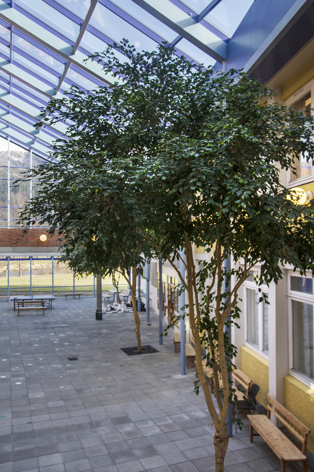 Glasgården ved Hafstad vgs - Elise Håvåg 2016.jpg