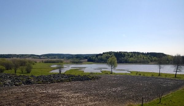 Hæra naturreservat