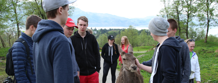 elevar frå service og samferdsle vert venn med ein hjort under innovasjonscamp på Svanøy elevar frå service og samferdsle vert venn med ein hjort under innovasjonscamp på Svanøy