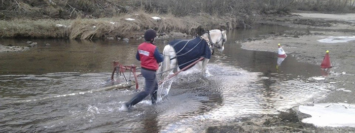 hest og hov 1024x384