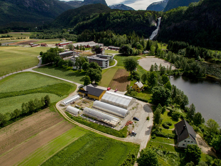 DJI_0025