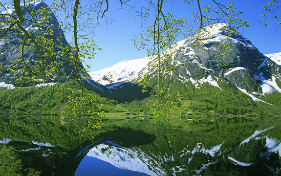Fjord med snødekte fjell i bakgrunnen