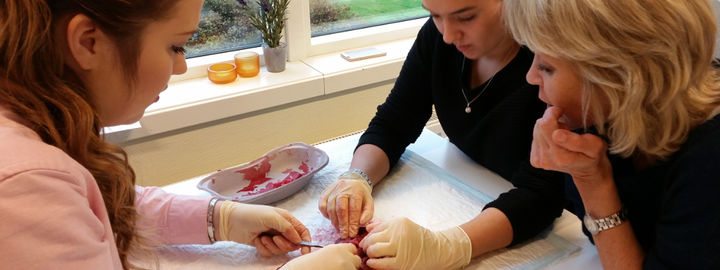 Foto: Stryn vidaregåande skule To elevar og lærar dissekerer grisehjarte