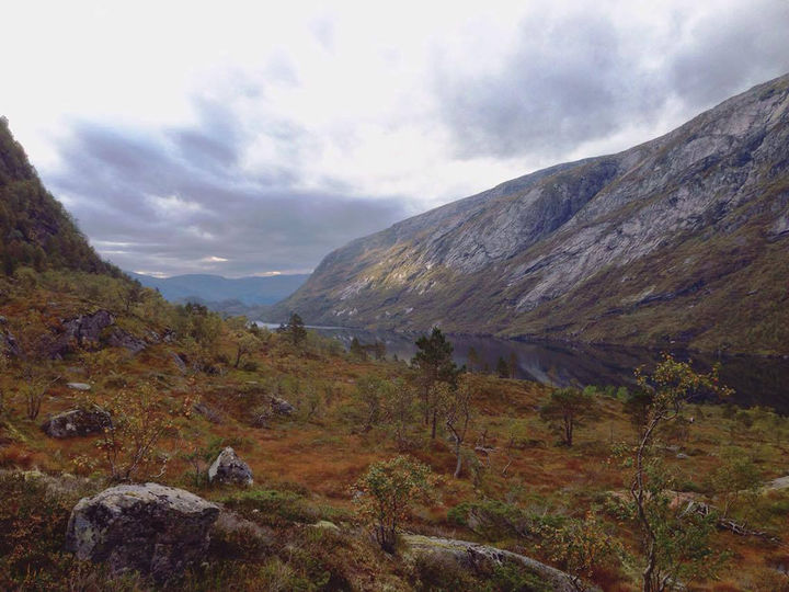 Trodalen. Foto - Kjellfrid Støylen Trodalen. Foto - Kjellfrid Støylen