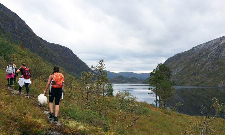 Trodalen - Foto Kjellfrid Støylen