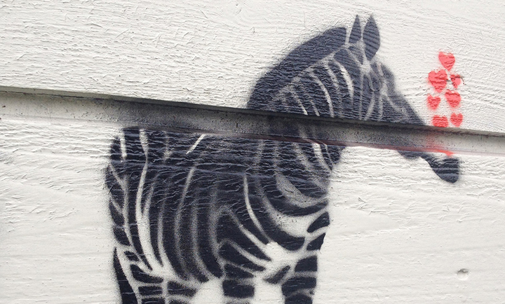 Street art, zebra Street art, zebra