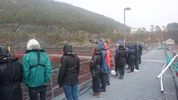 besøk hos Steinvik fiskefarm