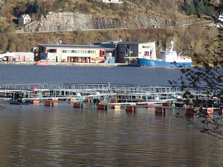 Maritim avdeling på Tennebø Maritim avdeling på Tennebø