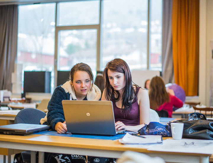 To elevar ser på ein pc-skjerm
