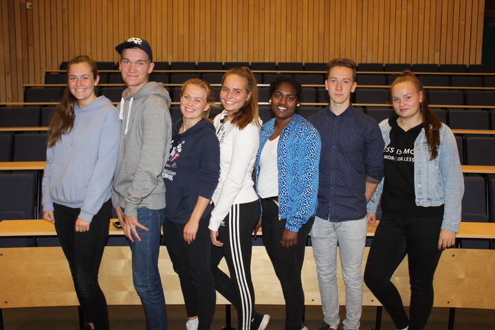 Elevrådsstyret 2017-18 Foto: Stryn vgs