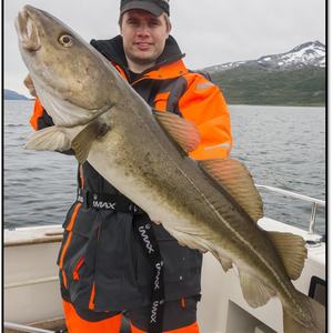 Hansnes Havfiske fishing