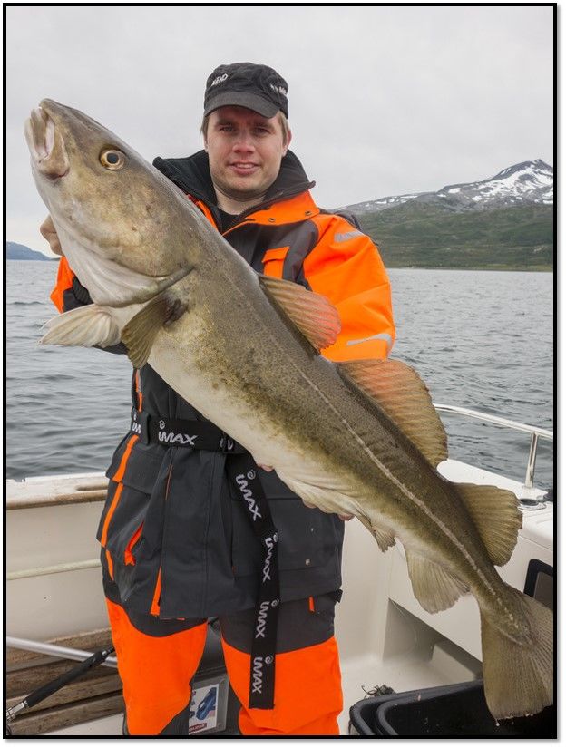 Hansnes Havfiske fishing