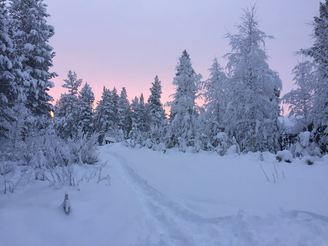 IMG_6358