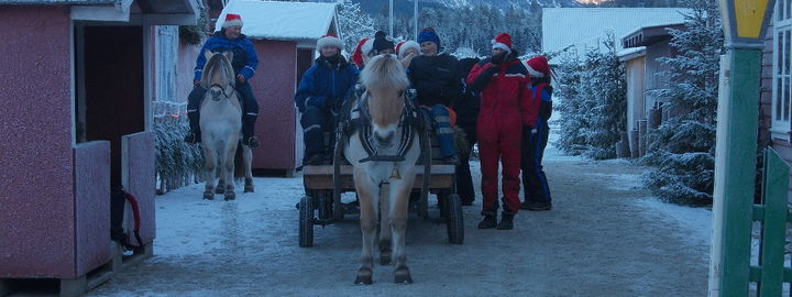 Jul i stallgata