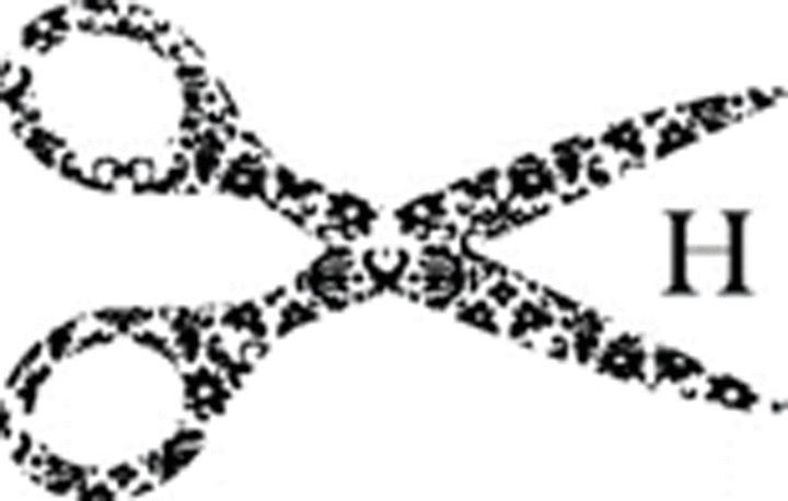 Logo friør