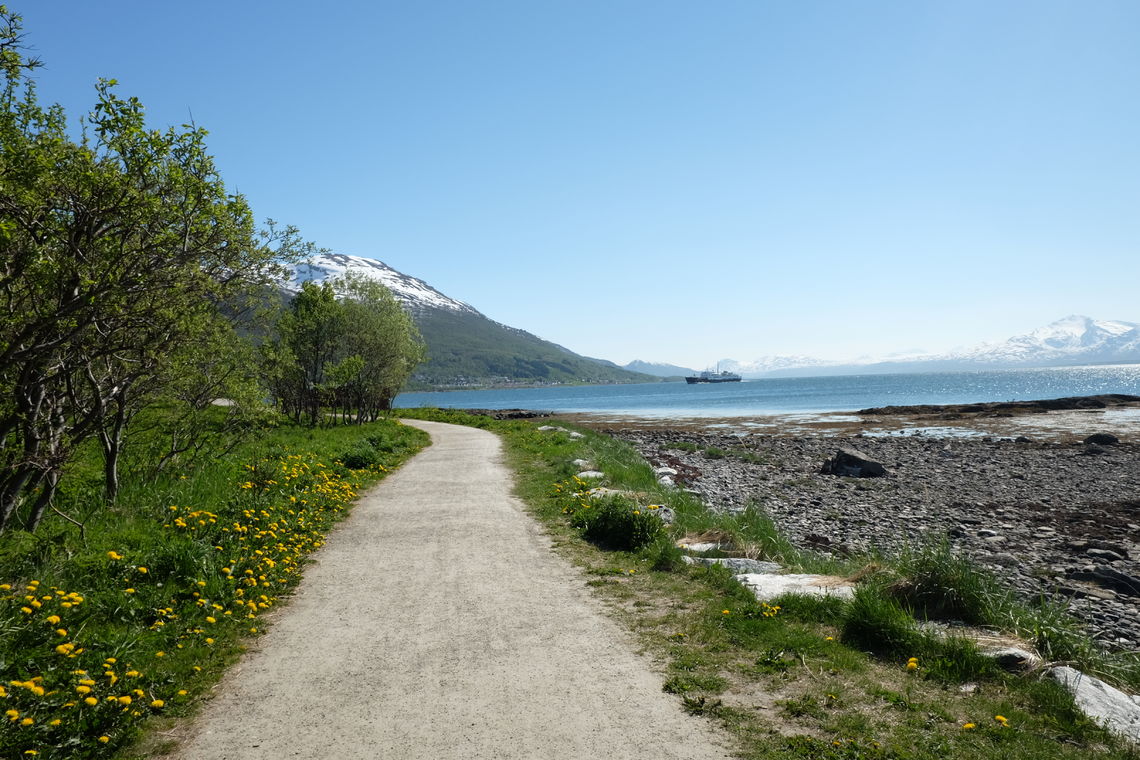 Tilrettelagt turvei rundt Sydspissen på Tromsøya. Foto: Maja Sjöskog Kvalvik Tilrettelagt turvei rundt Sydspissen på tromsøya. Foto: Maja Sjöskog Kvalvik