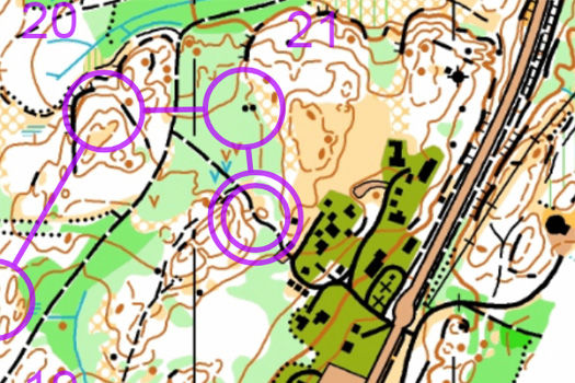 Målet er trukket inn i skogen, et stykke unna samlingsplass. Kart: Halden Skiklubb/Norwegian Spring.