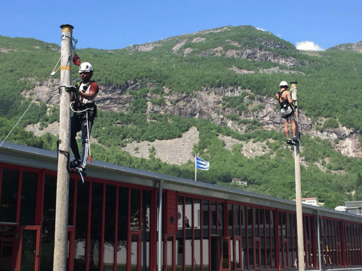 2 elevar på elektro klatrar i stolpe