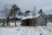 torvsjå DSC_0387