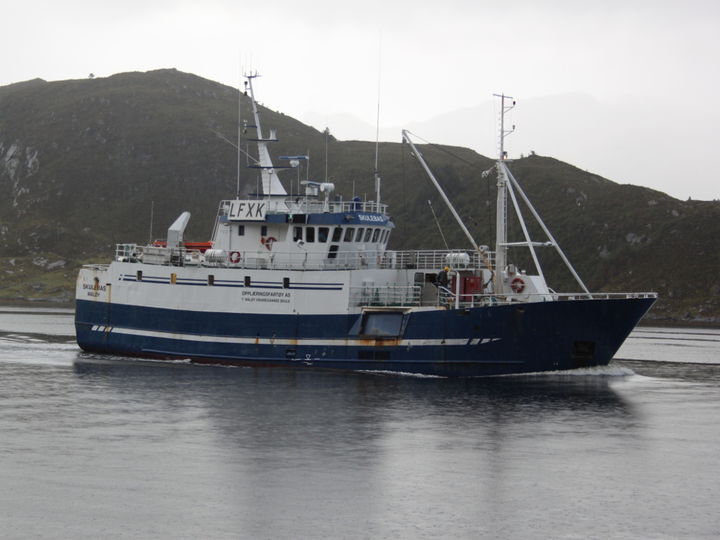 Skulebas Foto: Bjarne Husevåg Skulebas