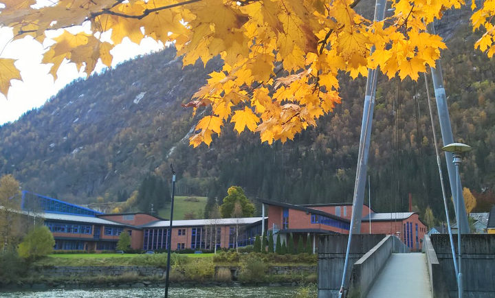 Haustbilete av Hafstad vgs. Foto - Mona Fossdal Haustbilete av Hafstad vgs. Foto - Mona Fossdal