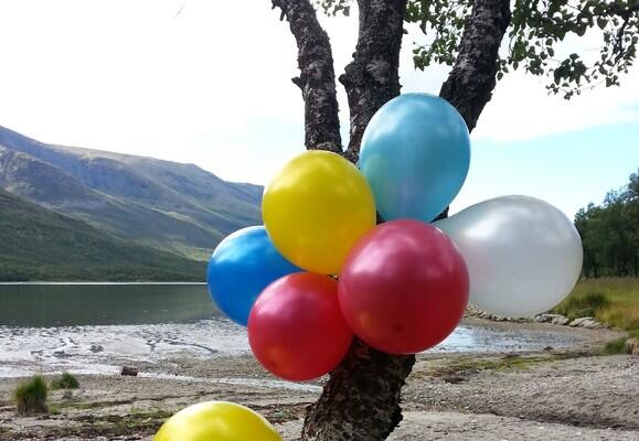 Ballonger i et tre fra Straumen Andørja